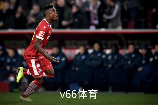 v66体育公司介绍